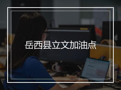 岳西县立文加油点