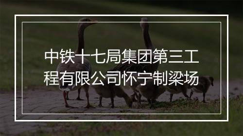 中铁十七局集团第三工程有限公司怀宁制梁场