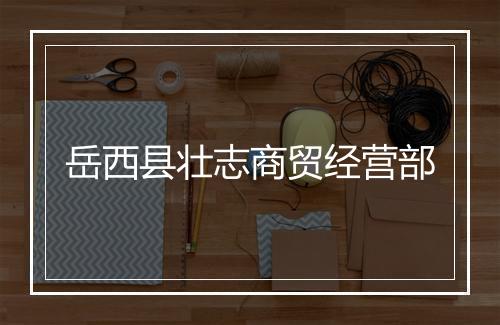 岳西县壮志商贸经营部