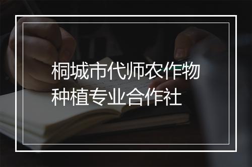 桐城市代师农作物种植专业合作社