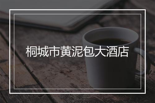 桐城市黄泥包大酒店