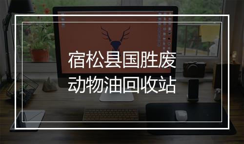 宿松县国胜废动物油回收站