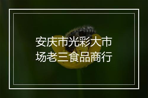 安庆市光彩大市场老三食品商行
