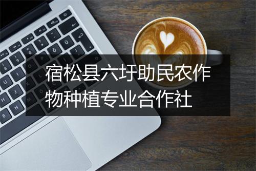 宿松县六圩助民农作物种植专业合作社