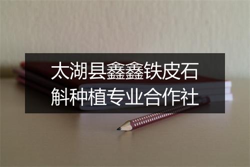 太湖县鑫鑫铁皮石斛种植专业合作社