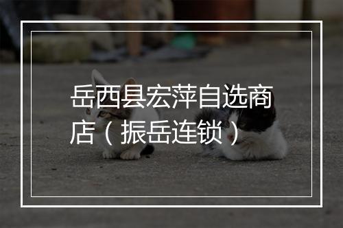 岳西县宏萍自选商店（振岳连锁）