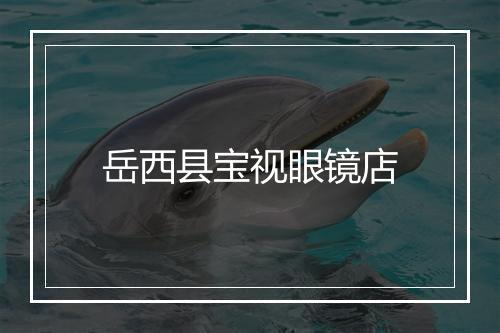 岳西县宝视眼镜店