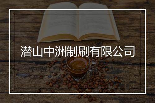 潜山中洲制刷有限公司