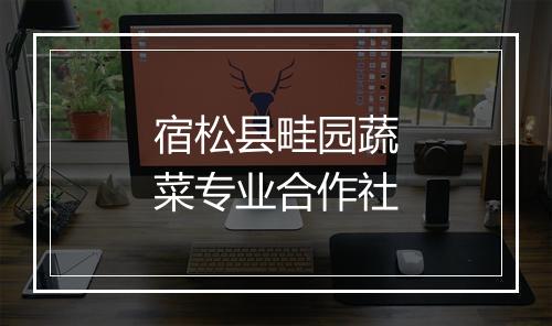 宿松县畦园蔬菜专业合作社