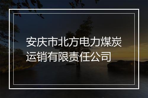 安庆市北方电力煤炭运销有限责任公司