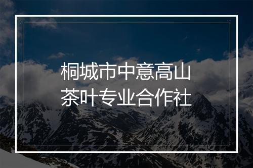 桐城市中意高山茶叶专业合作社