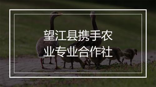 望江县携手农业专业合作社