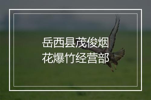 岳西县茂俊烟花爆竹经营部