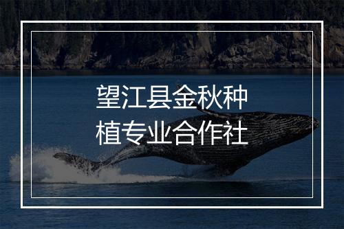 望江县金秋种植专业合作社