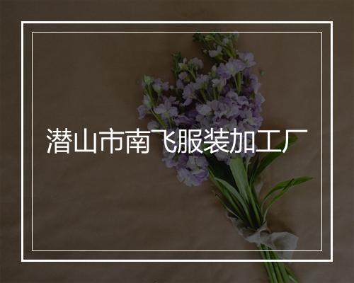 潜山市南飞服装加工厂