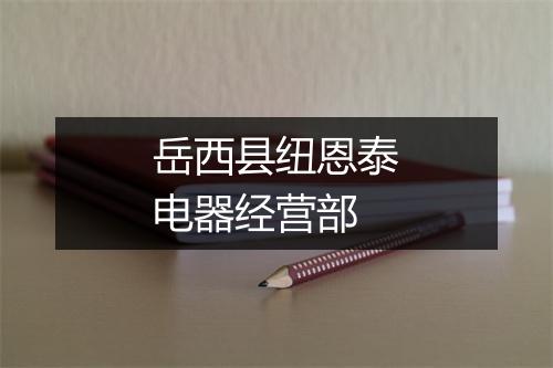 岳西县纽恩泰电器经营部