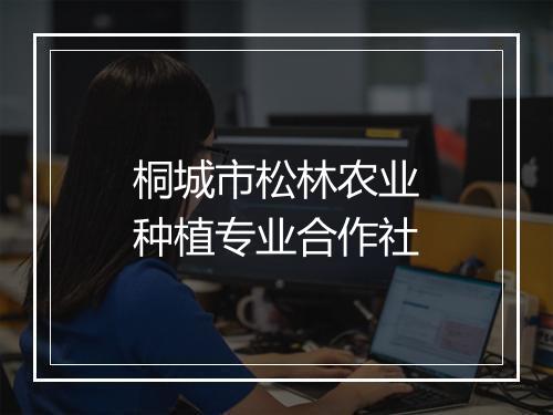 桐城市松林农业种植专业合作社