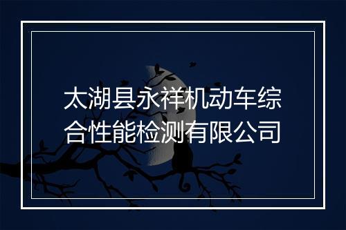 太湖县永祥机动车综合性能检测有限公司