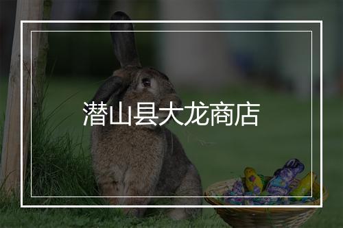 潜山县大龙商店
