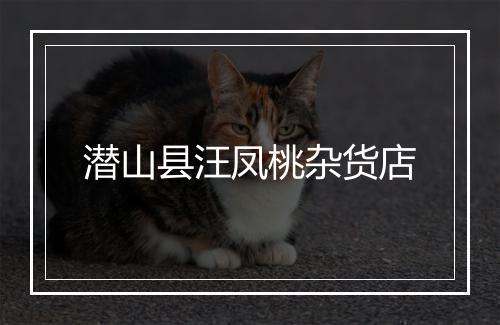 潜山县汪凤桃杂货店