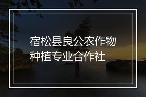 宿松县良公农作物种植专业合作社