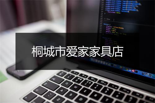 桐城市爱家家具店