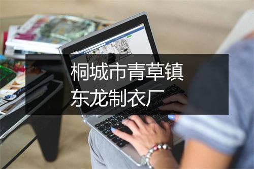 桐城市青草镇东龙制衣厂