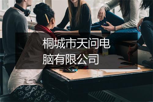 桐城市天问电脑有限公司