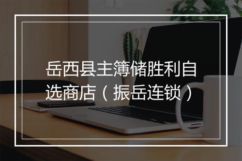 岳西县主簿储胜利自选商店（振岳连锁）