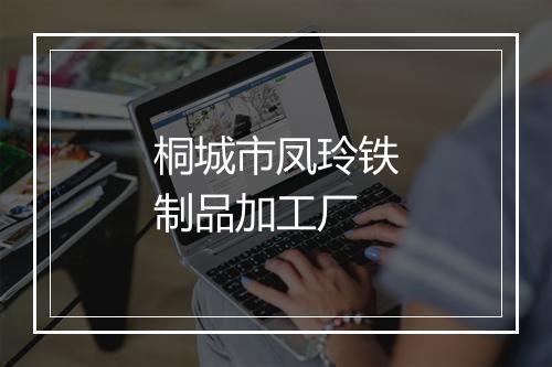 桐城市凤玲铁制品加工厂