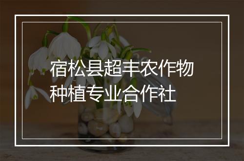 宿松县超丰农作物种植专业合作社