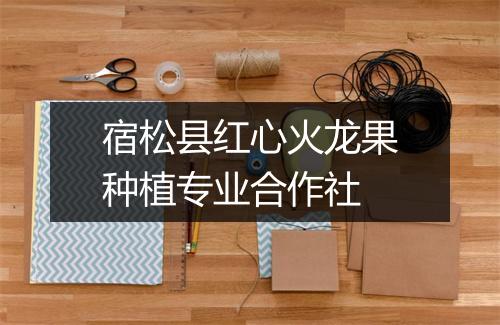 宿松县红心火龙果种植专业合作社