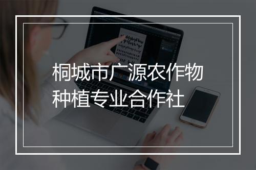 桐城市广源农作物种植专业合作社