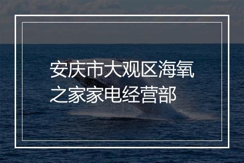 安庆市大观区海氧之家家电经营部