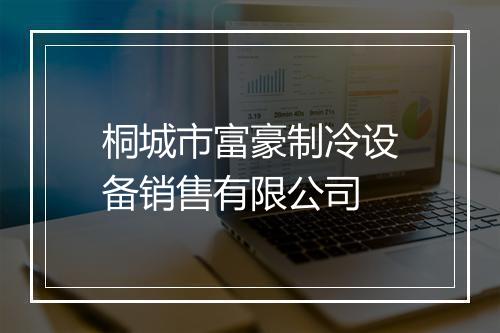 桐城市富豪制冷设备销售有限公司