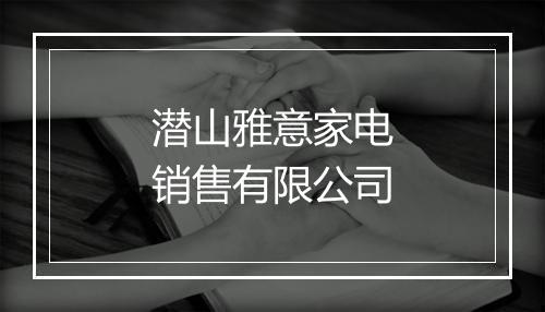 潜山雅意家电销售有限公司