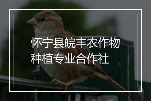 怀宁县皖丰农作物种植专业合作社