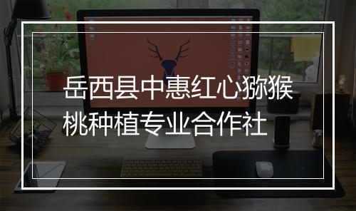 岳西县中惠红心猕猴桃种植专业合作社