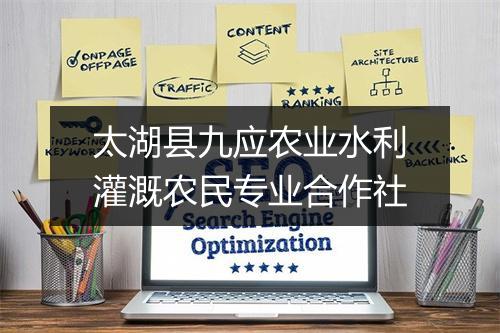 太湖县九应农业水利灌溉农民专业合作社