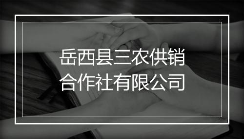 岳西县三农供销合作社有限公司