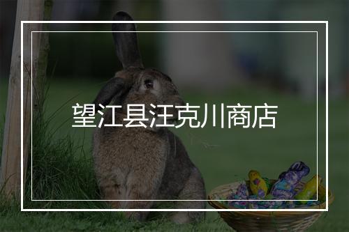 望江县汪克川商店