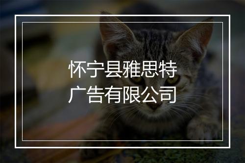 怀宁县雅思特广告有限公司