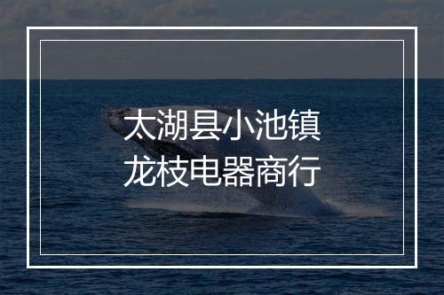 太湖县小池镇龙枝电器商行