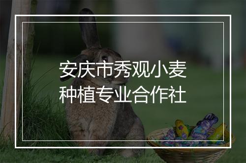 安庆市秀观小麦种植专业合作社