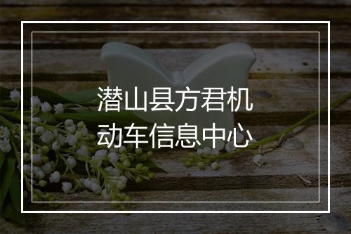 潜山县方君机动车信息中心