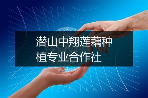 潜山中翔莲藕种植专业合作社