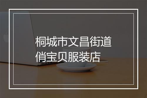 桐城市文昌街道俏宝贝服装店