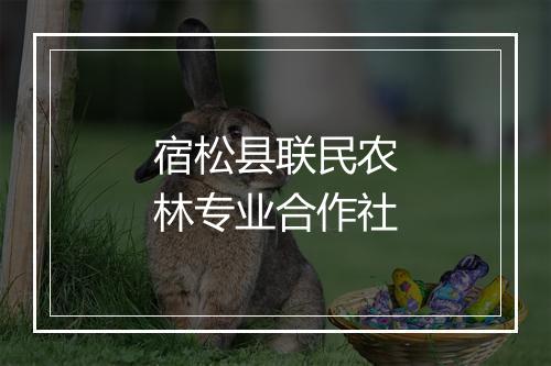 宿松县联民农林专业合作社