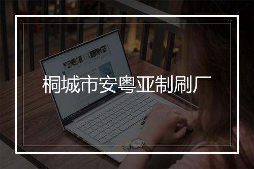 桐城市安粤亚制刷厂