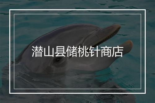 潜山县储桃针商店